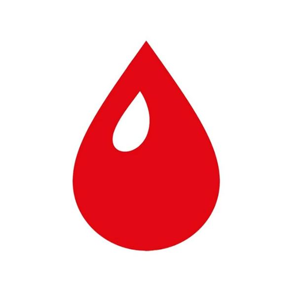 Gyanta, CP201 átm.átm.+, cs. 500 g