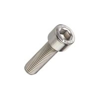 Screw for Durst Disc Cutter
