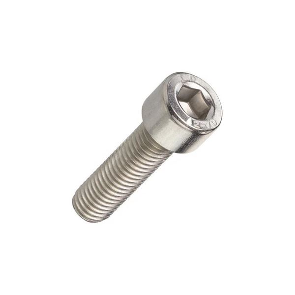 Screw for Durst Disc Cutter